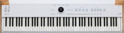 Stagepiano Arturia AstroLab 88