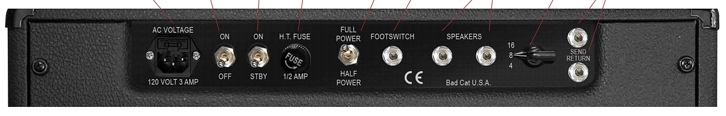 Bad Cat Black Cat 15 1x12 - Combo voor elektrische gitaar - Variation 2