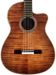 Fusion 12 - cinammon burst