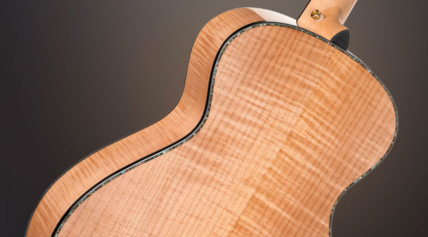 Cort Gold Passion Grand Concert Epicea Erable Eb - Natural - Folk gitaar - Variation 6
