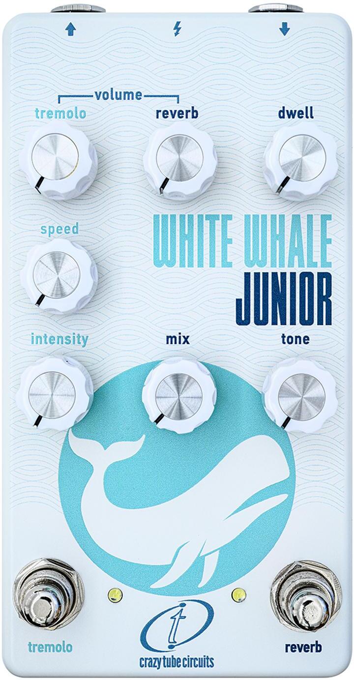 Crazy Tube Circuit Whte Whale Jr - Reverb/delay/echo effect pedaal - Main picture