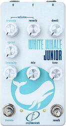 Reverb/delay/echo effect pedaal Crazy tube circuit White Whale Junior (Reverb, Tremolo)