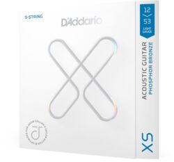 Westerngitaarsnaren  D'addario 12-53 Light, Jacob Collier 5-String Taylor,  Coated Acoustic Guitar Strings - 5-snarige set