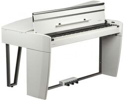 Draagbaar digitale piano Dexibell VIVO H10MGWHP - White