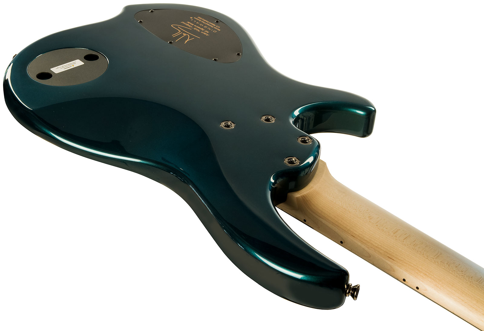 Dingwall Basse Électrique Solid Body - Solid body elektrische bas - Variation 3