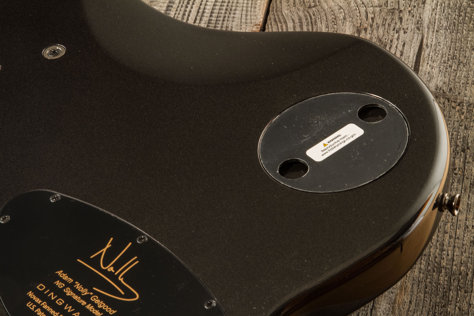 Dingwall Basse Électrique Solid Body - Solid body elektrische bas - Variation 6