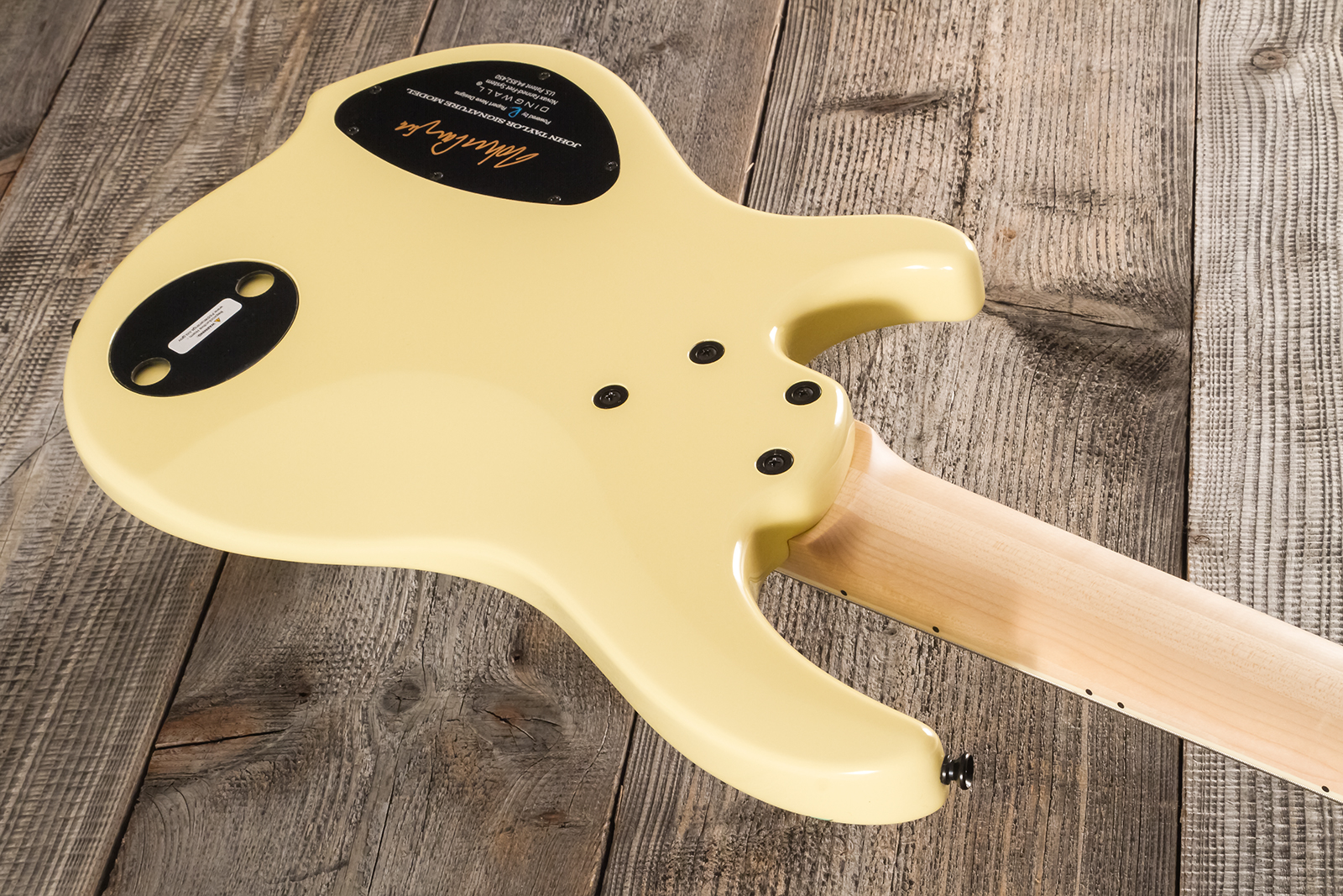 Dingwall John Taylor Rio Dream Jt3 5c Ltd Signature 3pu Active Mn - Creme - Solid body elektrische bas - Variation 11