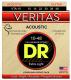 VTA-10 Acoustic Guitar 6-String Set Veritas Phosphor Bronze 10-48 - snarenset