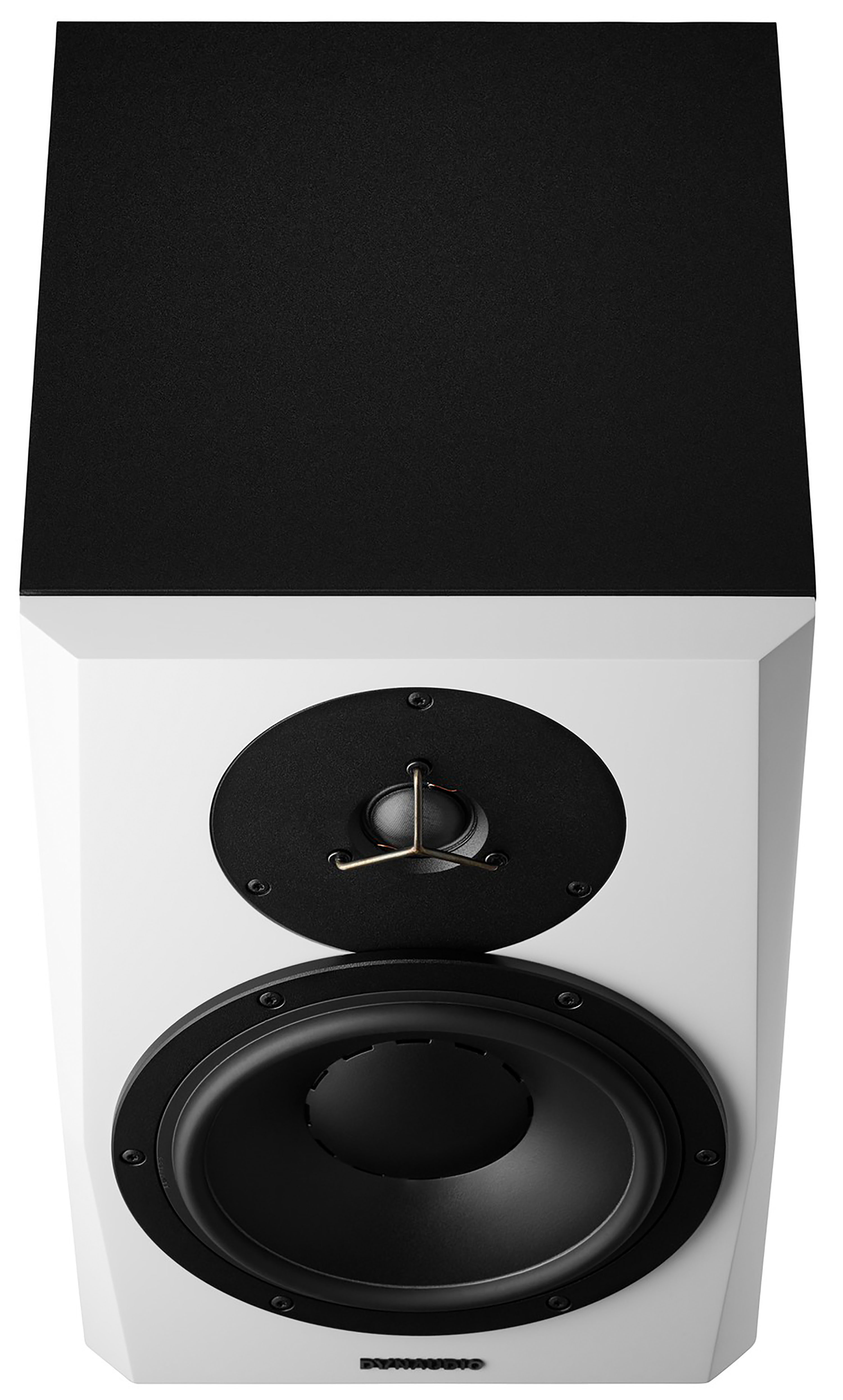 Dynaudio Lyd 8 B/w - La PiÈce - Actieve studiomonitor - Variation 2