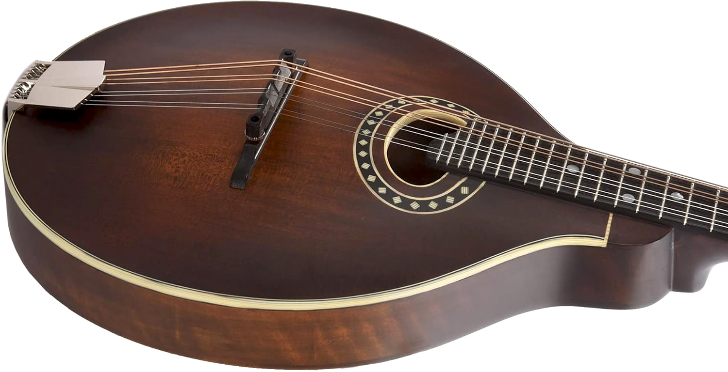 Eastman Md304 A-style Oval-hole Epicea Erable Eb +housse - Classic - Mandoline - Variation 2