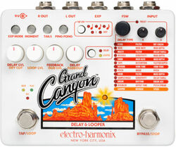 Looper effect pedaal Electro harmonix Grand Canyon Delay & Looper