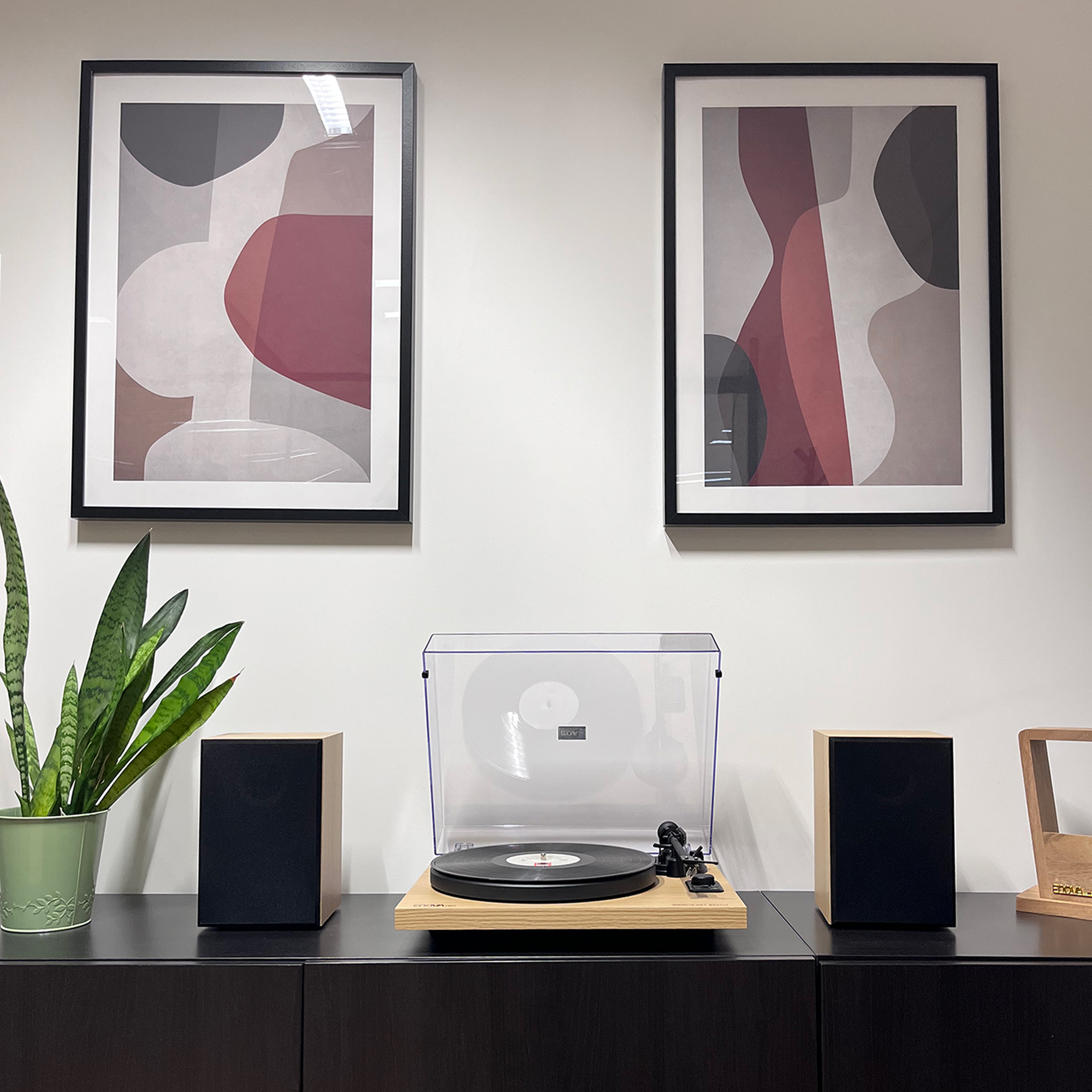 Enova Hifi Vision2 Set Beech -  - Variation 11