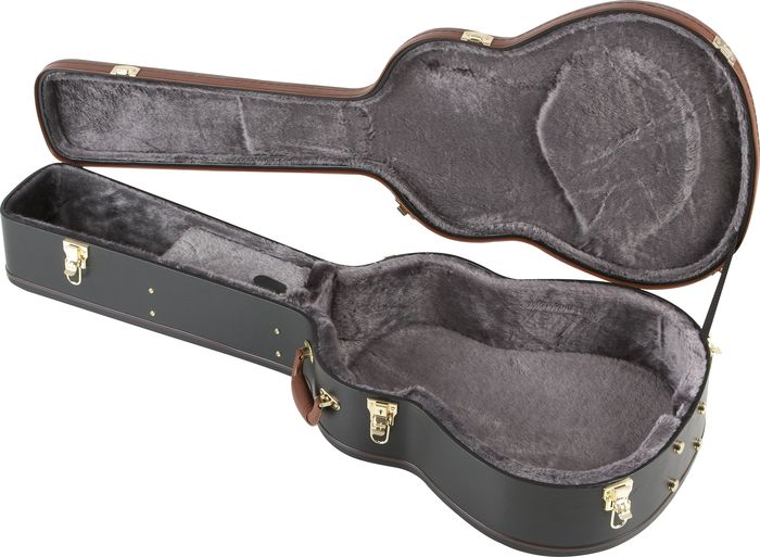 Epiphone Guit. Folk Dreadnought En Forme - Westerngitaarkoffer - Variation 2