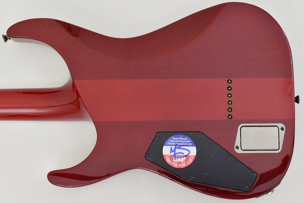 Esp E-ii Horizon Nt-ii 2h Emg Eb - See Thru Black Cherry - Elektrische gitaar in Str-vorm - Variation 1
