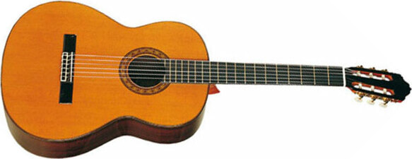 Esteve 9c/b Cedre Palissandre Eb - Natural - Klassieke gitaar 4/4 - Main picture