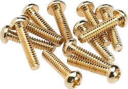Schroef Fender Pickup & Selector Switch Mounting Screws (12) - Gold