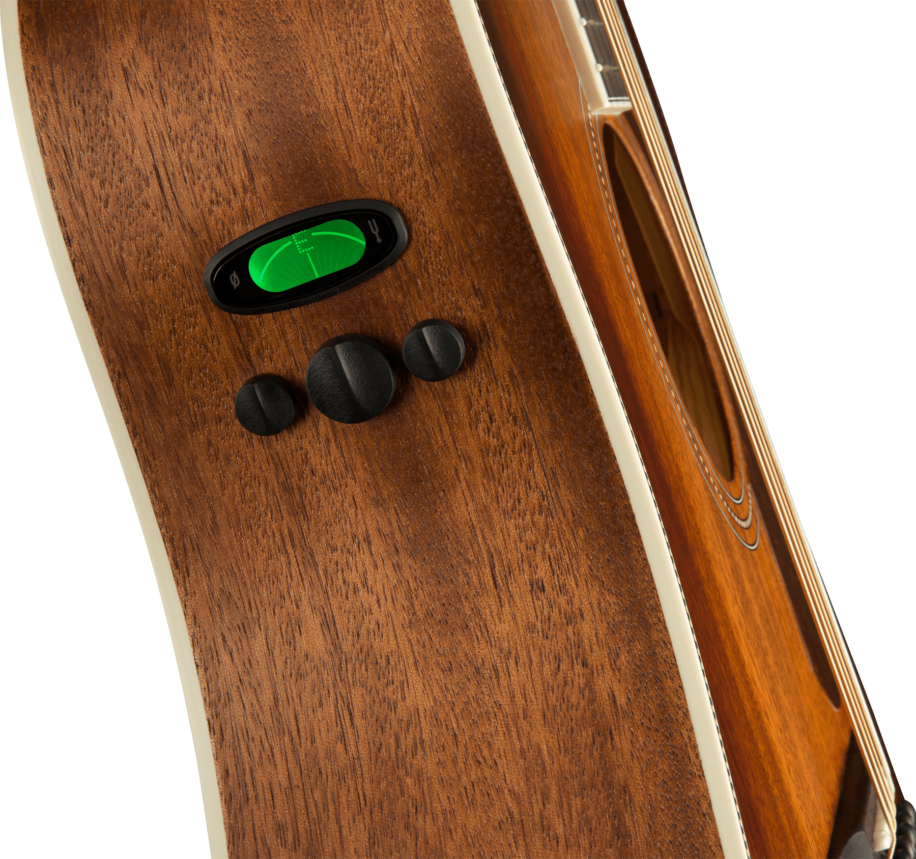 Fender Pm-1e All-mahogany Ne Paramount Dreadnought Tout Acajou Ova +etui - Aged Cognac Burst - Folk gitaar - Variation 3