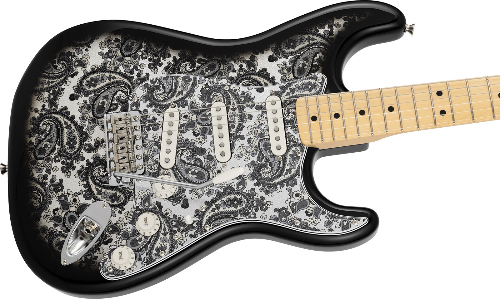 Fender Strat Ltd Jap 3s Trem Mn - Black Paisley - Elektrische gitaar in Strat vorm - Variation 2