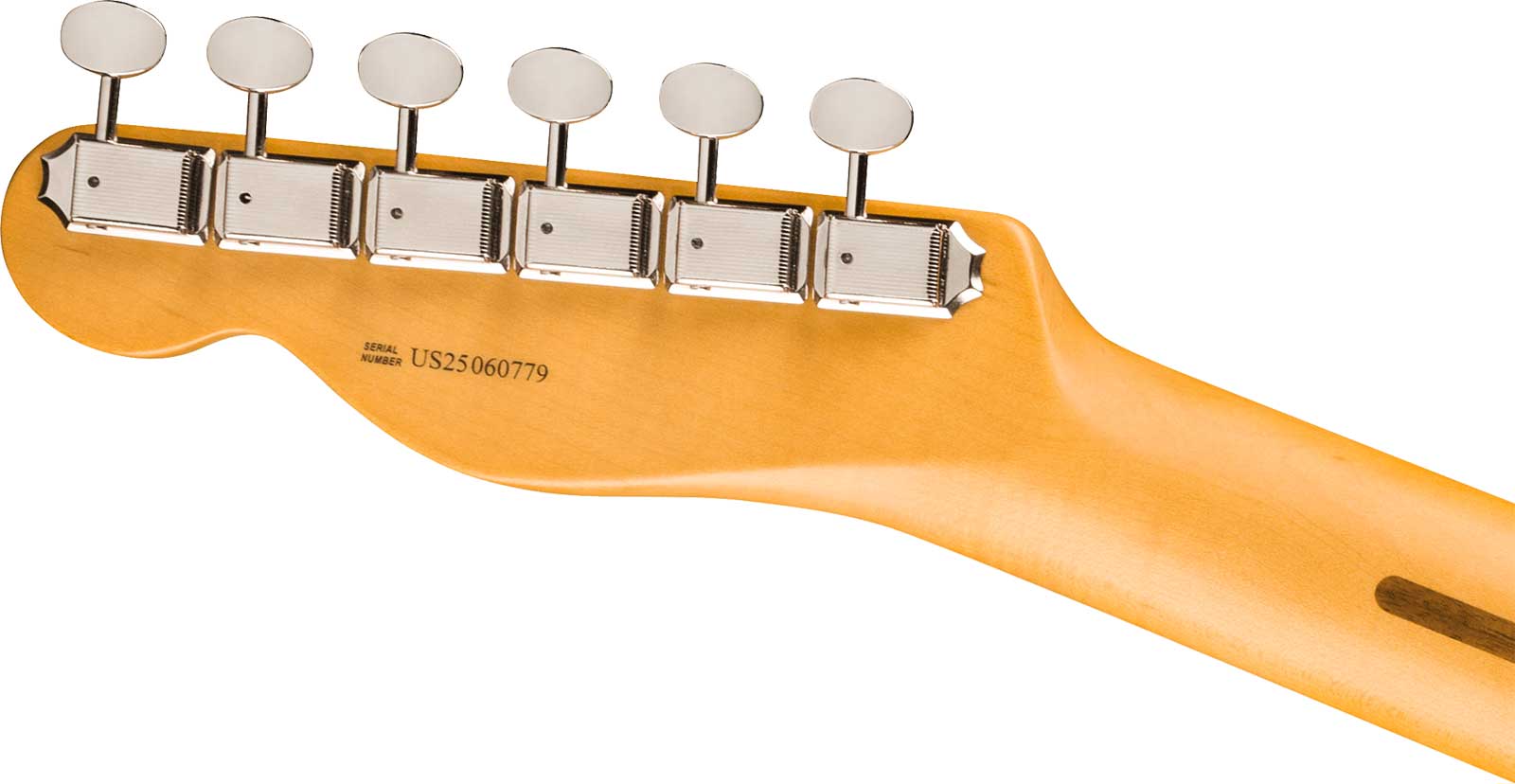 Fender Tele American Professional Classic Usa 2s Ht Mn - Faded Sherwood Green Metallic - Televorm elektrische gitaar - Variation 3