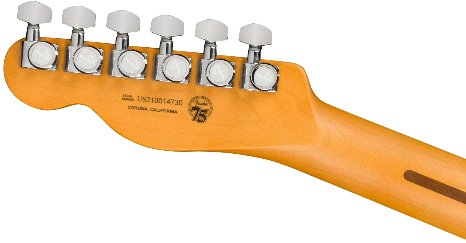 Fender Tele American Ultra Fsr Ltd Usa 2s Ht Eb - Mystic Pine Green - Televorm elektrische gitaar - Variation 4