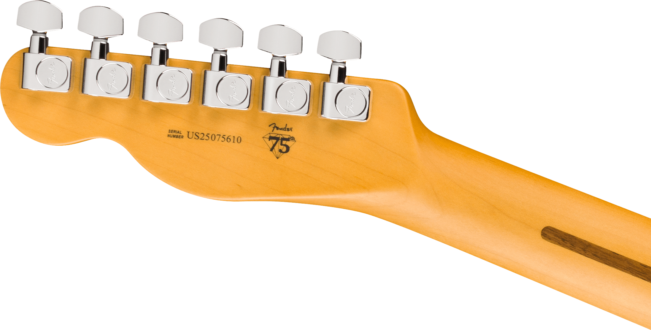 Fender Tele Hot Shot American Pro. Usa  2s Ht Rw - Oxblood - Televorm elektrische gitaar - Variation 4