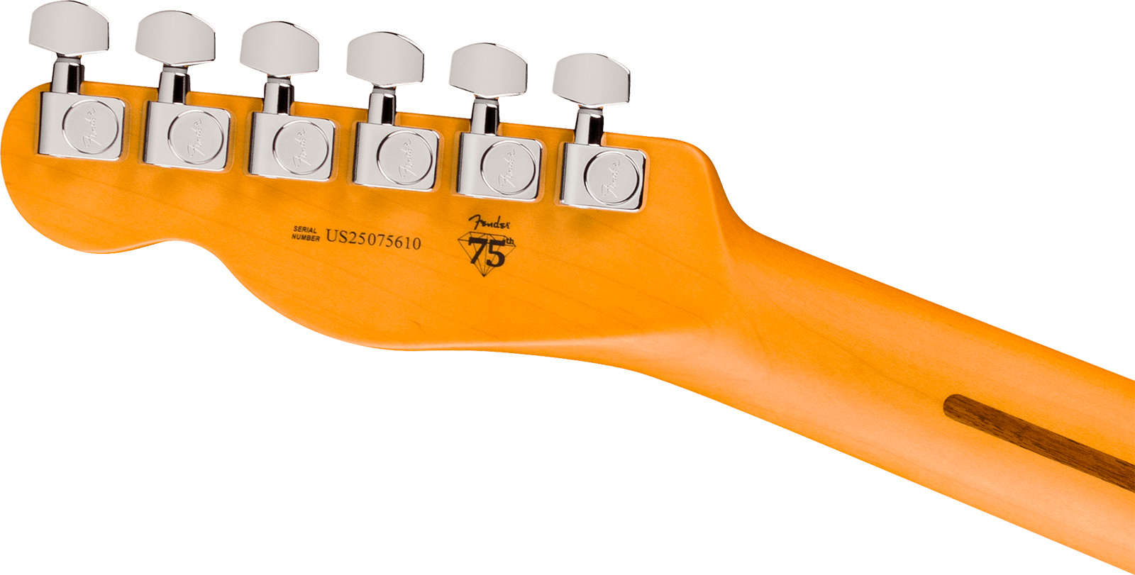Fender Tele Hot Shot American Pro. Usa  2s Ht Rw - Dark Night - Televorm elektrische gitaar - Variation 4