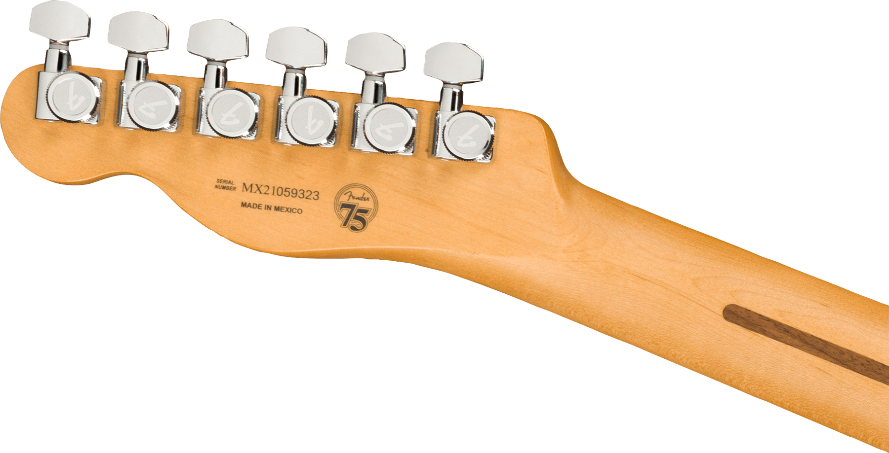 Fender Tele Player Plus Mex 2s Ht Pf - Silver Smoke - Televorm elektrische gitaar - Variation 3
