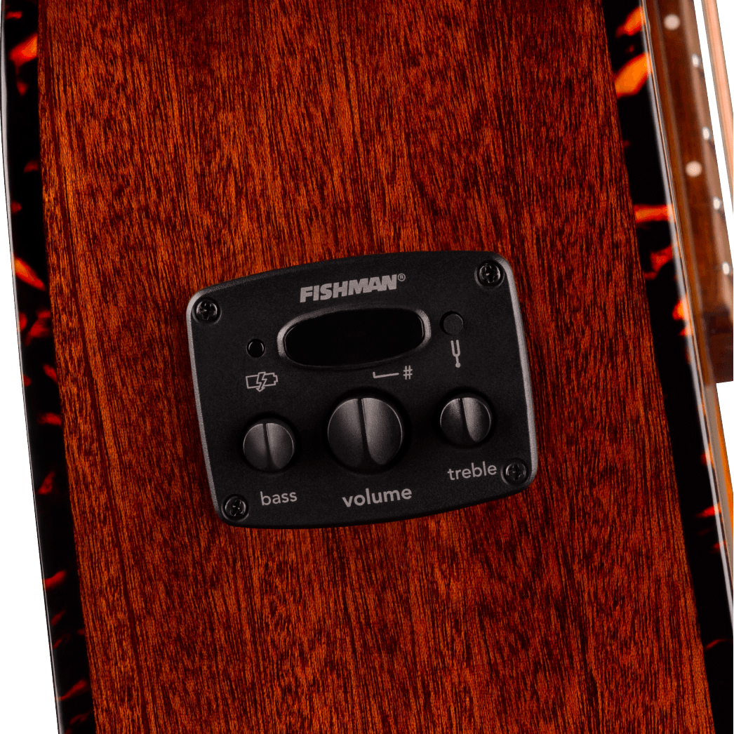 Fender Villager Deluxe E California Orchestra Om 12c Shsc Epicea Acajou Noy - Black - Folk gitaar - Variation 3