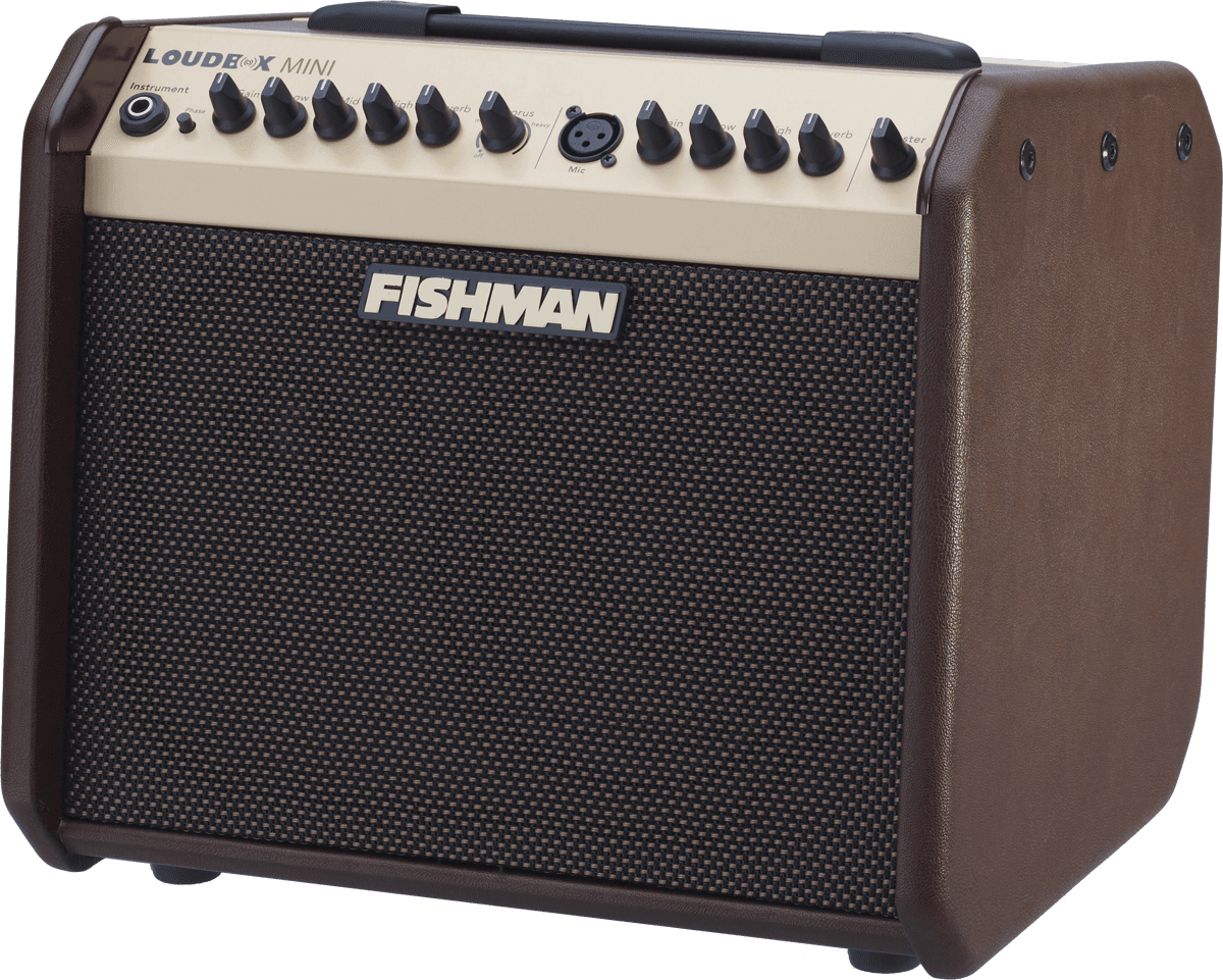 Fishman Loudbox Mini 60w Bluetooth - Combo voor akoestische gitaar - Variation 1