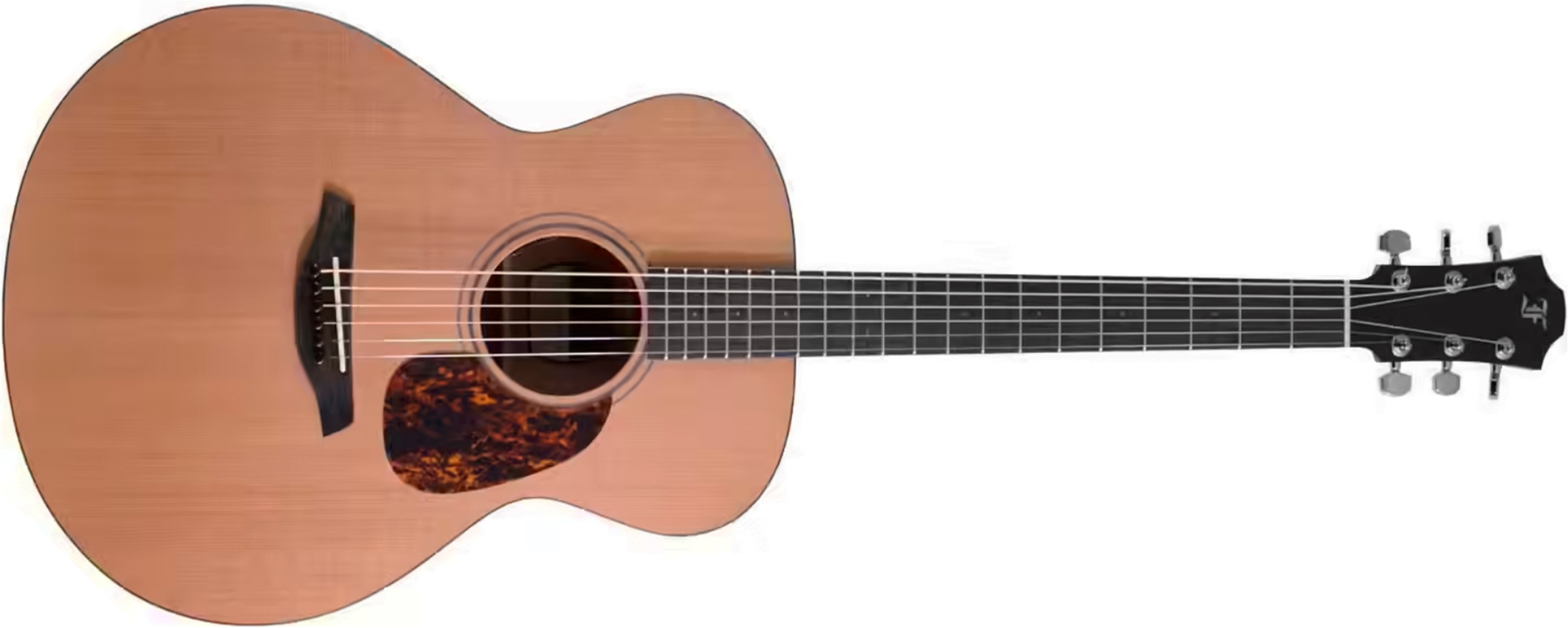 Furch Blue Cm A G Lrb1 Grand Auditorium Cedre Acajou Eb - Natural Open-pore - Folk gitaar - Main picture