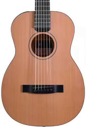 Reis folk gitaar Furch Travel Little Jane LJ 10-CM