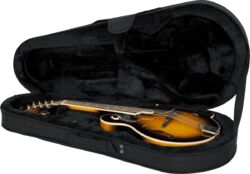 Mandolinekoffer Gator GL-MANDOLIN