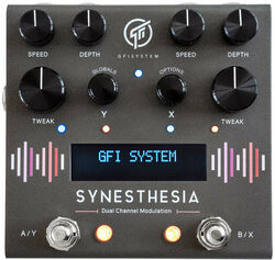 Guitar synthesizer Gfi system Synesthesia