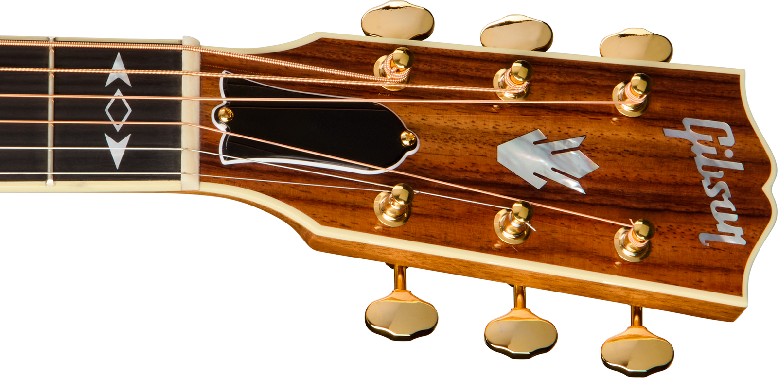 Gibson Songwriter Recording Artist (baggs Hifi Dna) Dreadnought Cw Epicea Palissandre Eb - Rosewood Burst - Folk gitaar - Variation 4