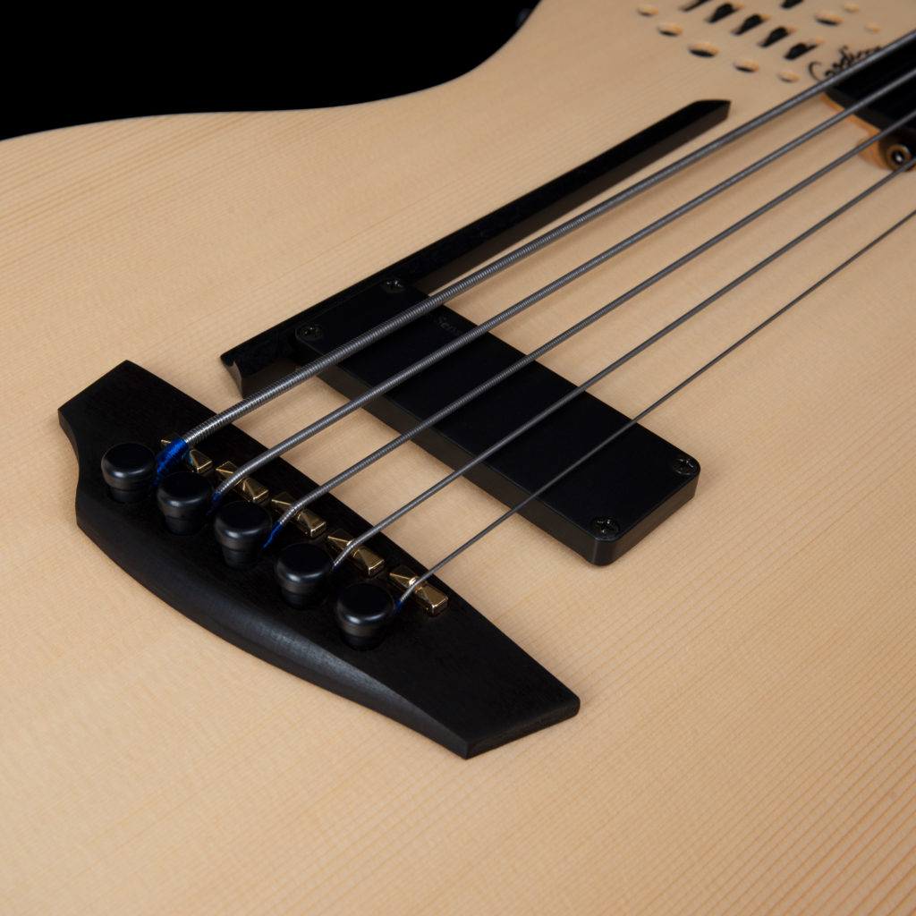 Godin A5 Ultra Fretless A/e 5c Epicea Tilleul Ric - Natural Semi Gloss - Akoestische bas - Variation 4