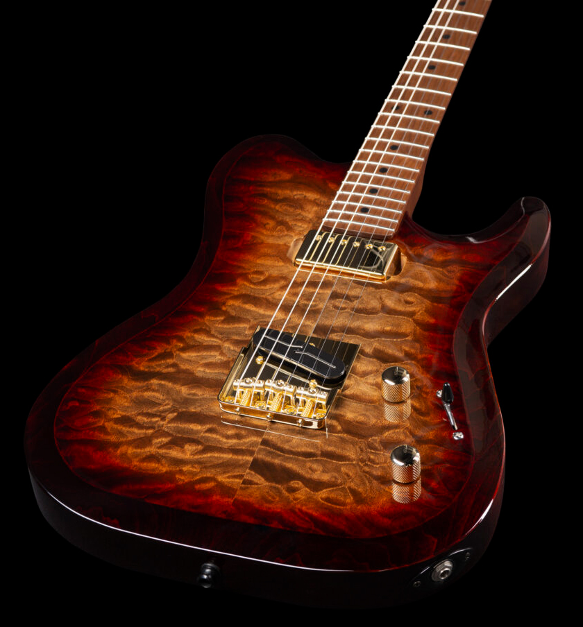 Godin Artisan Tc Sh Ht Mn - Whiskey Burst - Televorm elektrische gitaar - Variation 2