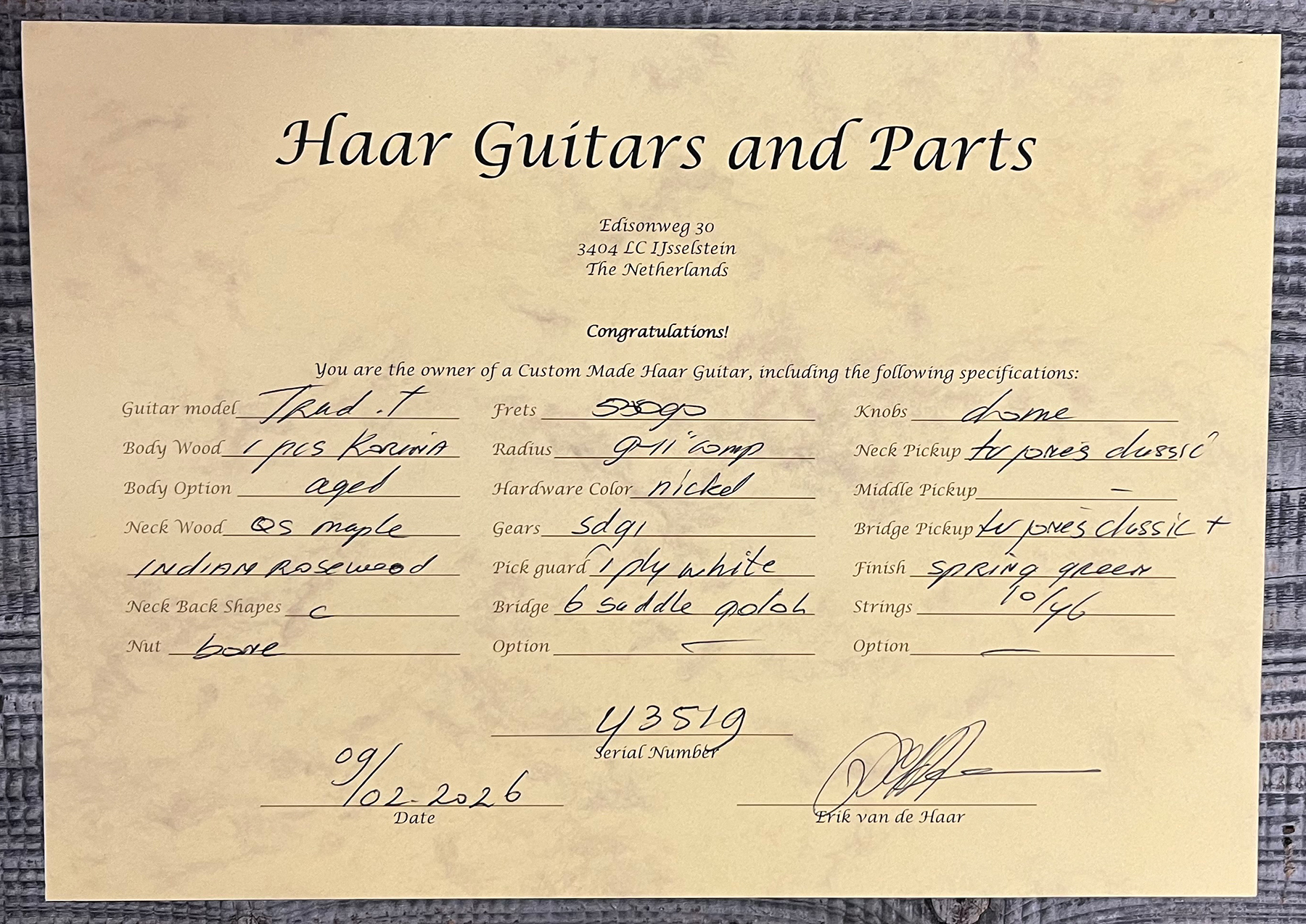 Haar Guitars Trad T Custom 2h Tv Jones Ht Rw #43519 - Aged Spring Green - Televorm elektrische gitaar - Variation 12