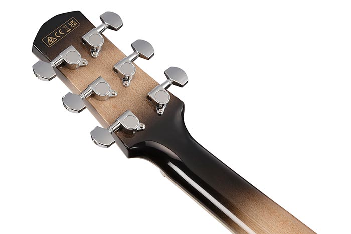 Ibanez Aam370m1ce Tpa Advanced Auditorium Epicea Erable Rw - Transparent Panda - Folk gitaar - Variation 3