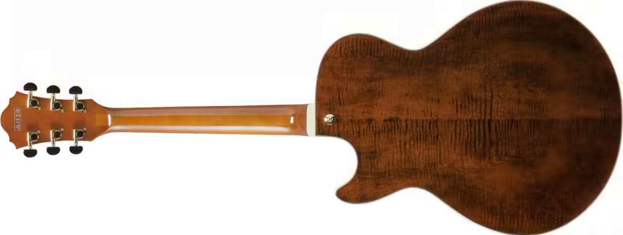 Ibanez Ag95mg Da Artcore Expressionist 2h Ht Eb - Dark Amber - Elektrische gitaar in Strat vorm - Variation 1