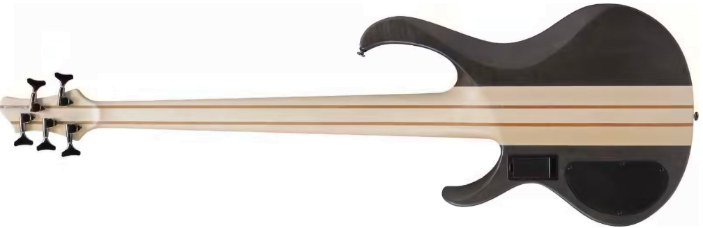 Ibanez Btb605 Tgf Standard 5c Active Eb - Transparent Gray Flat - Solid body elektrische bas - Variation 1