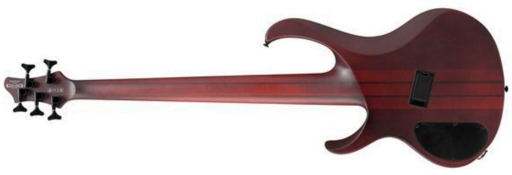 Ibanez Btb705lm Nnf Workshop 5c Multiscale Active Rw - Natural Browned Burst Flat - Solid body elektrische bas - Variation 1