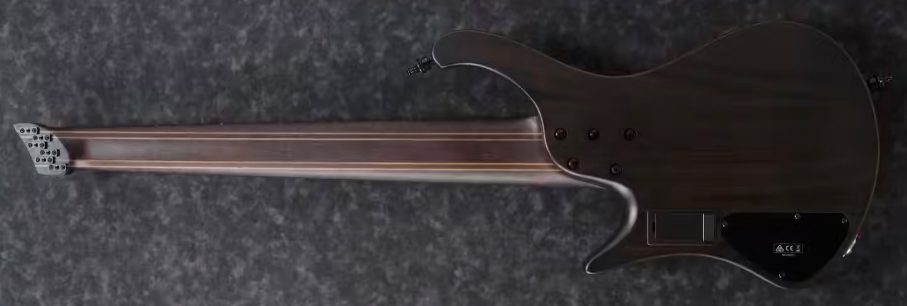 Ibanez Ehb1506ms Bif Workshop 6c Multiscale Active Pp - Black Ice Flat - Solid body elektrische bas - Variation 1