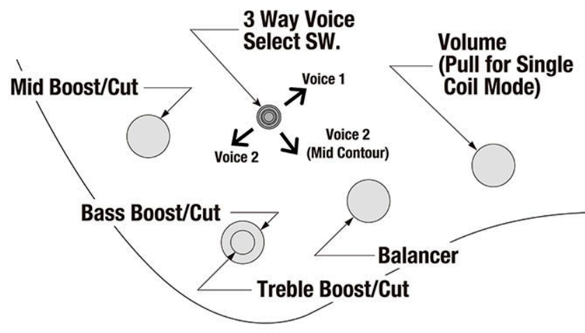Ibanez Ehb1675ms Ntf Workshop 5c Multiscale Active Pp - Natural Flat - Solid body elektrische bas - Variation 4