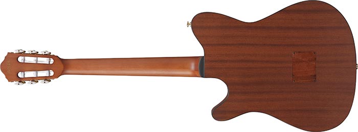 Ibanez Frh10n Ntf Hybrid Cw Epicea Sapele Wal - Natural Flat - Klassieke gitaar 4/4 - Variation 1