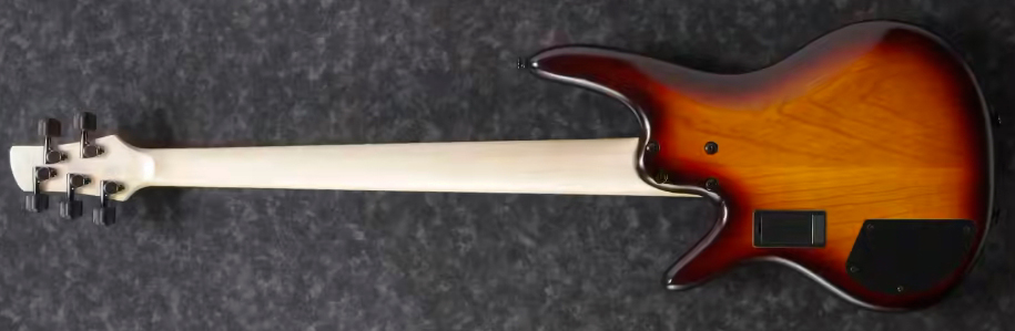 Ibanez Gary Willis Gwb205 Tqf Signature Fretless 5c Active Bartolini Eb - Tequila Sunrise Flat - Solid body elektrische bas - Variation 1