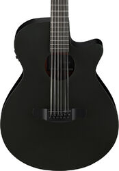 AEG621 BOT 12-String - Black Out
