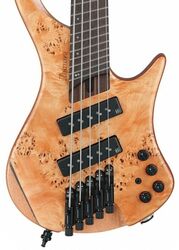 EHB1505MS 5-String - Florid Natural Low Gloss