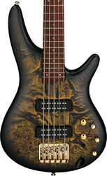 Solid body elektrische bas Ibanez Standard SR305EDX FDM (5-String) - Frozen Gold Matte