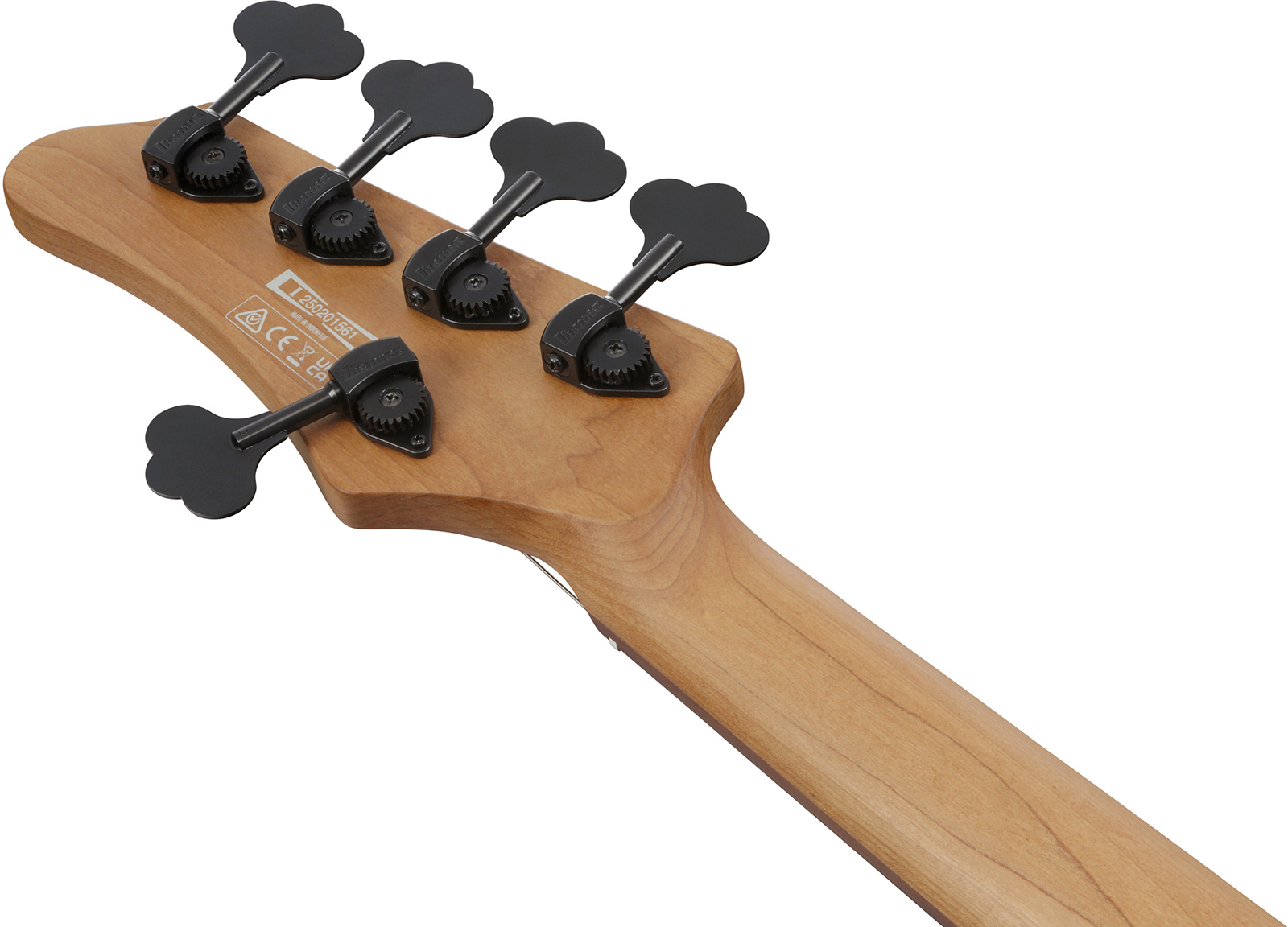 Ibanez Mdm1605 Dtw Mode 5c Active Rw - Deep Twilight - Solid body elektrische bas - Variation 4