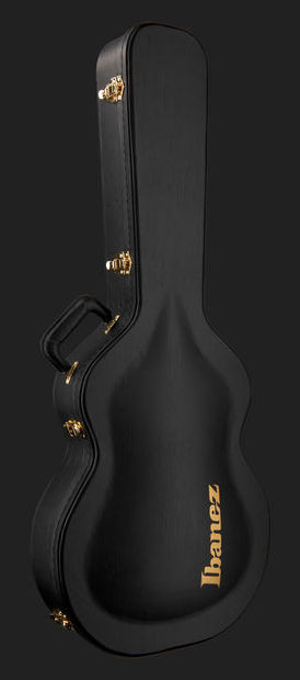 Ibanez Pat Metheny Pm200 Nt Prestige Japon Signature H Ht Eb - Natural - Hollow bodytock elektrische gitaar - Variation 13